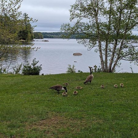 Alamoosook Lakeside Inn Orland Экстерьер фото