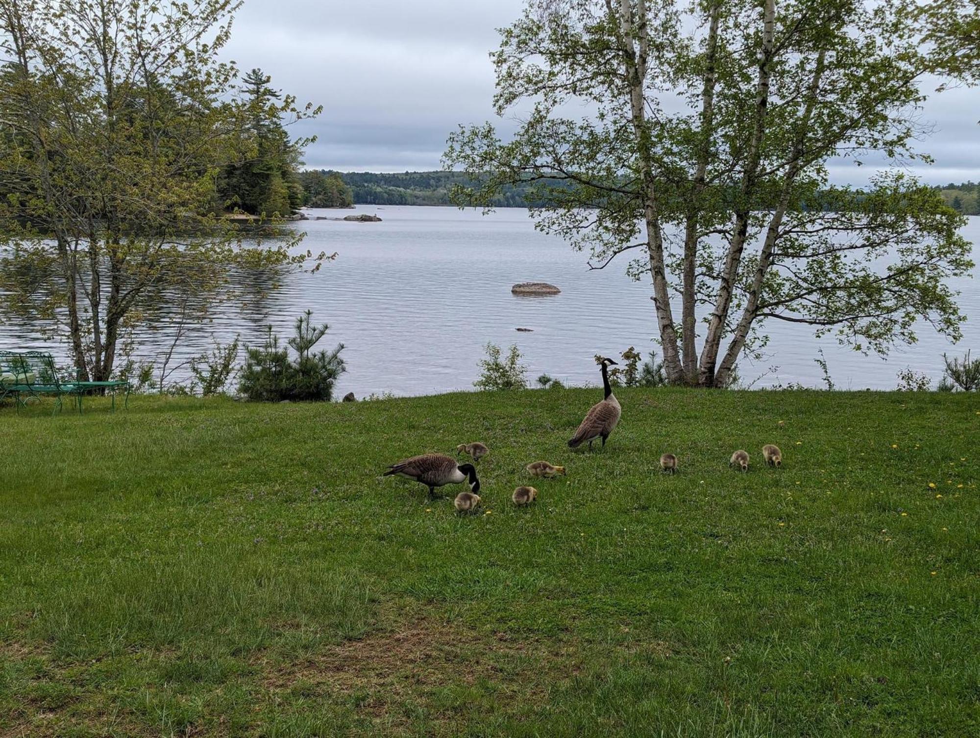 Alamoosook Lakeside Inn Orland Экстерьер фото